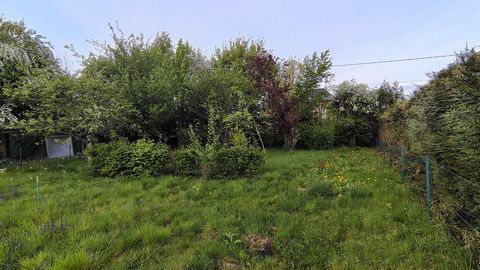 photo no. 1