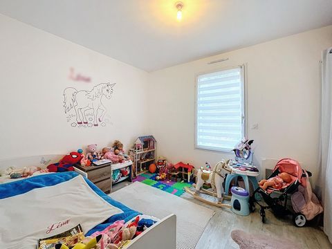 photo no. 6