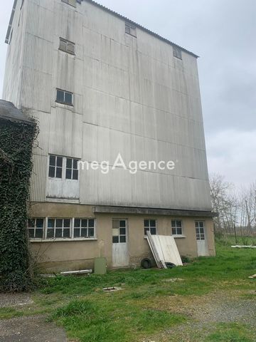 photo no. 13