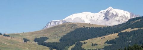 photo no. 2