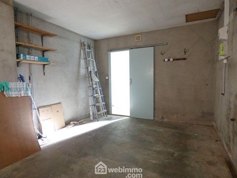 photo no. 9