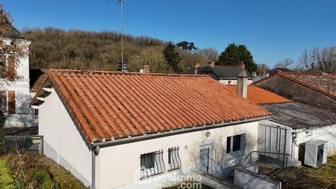 photo no. 14
