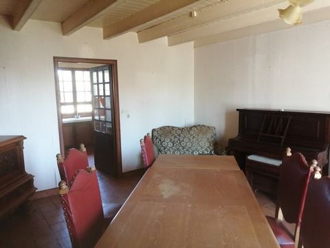 photo no. 4