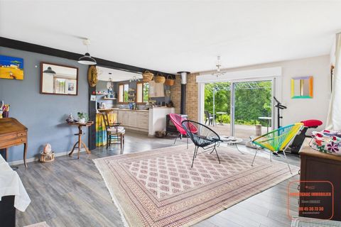 photo no. 13