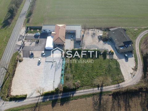 photo no. 2