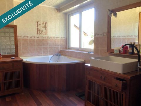 photo no. 8