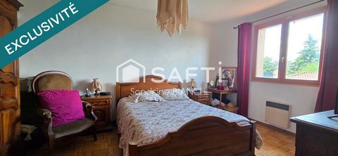 photo no. 11