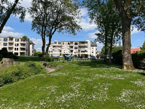 photo no. 11