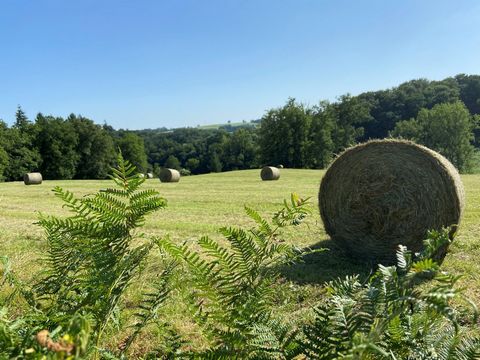 Terrain agricole