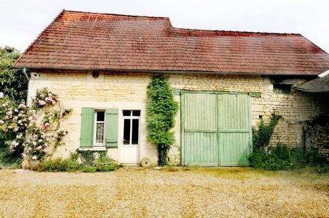 photo no. 3