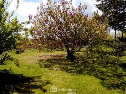 photo no. 13