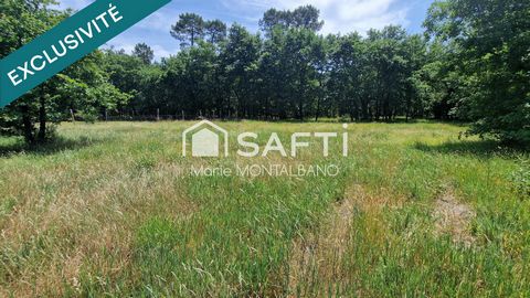 Terrain constructible de 2335m2 en lisière de forêt.