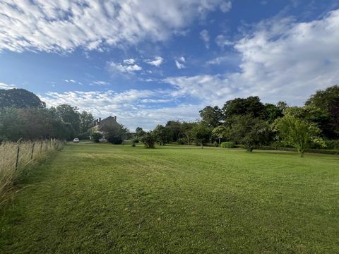 photo no. 14