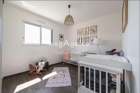 photo no. 11