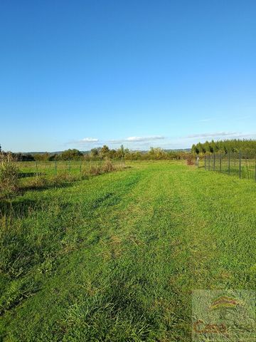 photo no. 4