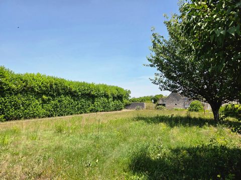 photo no. 10