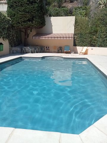photo no. 19