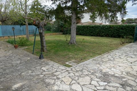 photo no. 2