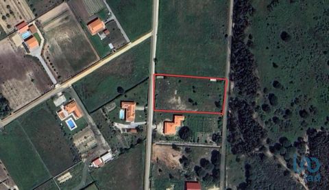 Terreno com Potencial de Construção em Benavente – 4.990 m² Oportunidade de Investimento | Possibilidade de Construção de Moradia Unifamiliar Apresenta-se para venda um terreno com 4.990 m² de área total, situado no concelho de Benavente, inserido nu...
