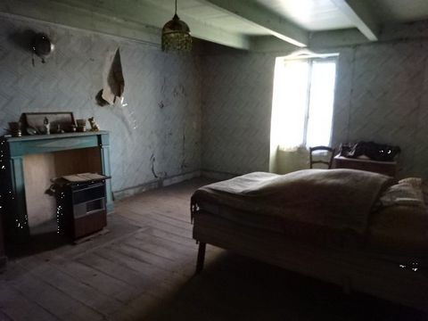 photo no. 10