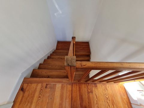 photo no. 16