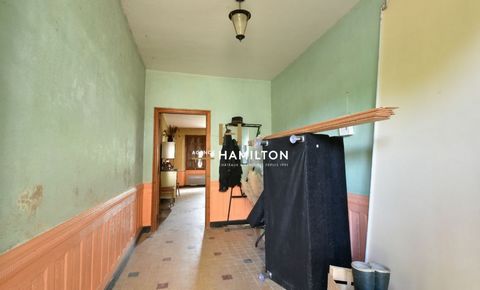 photo no. 10