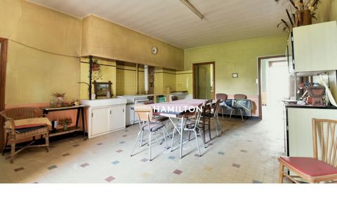 photo no. 11