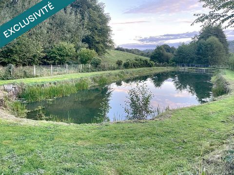 Etang de 1000 m2 sur un terrain de 2740 m2
