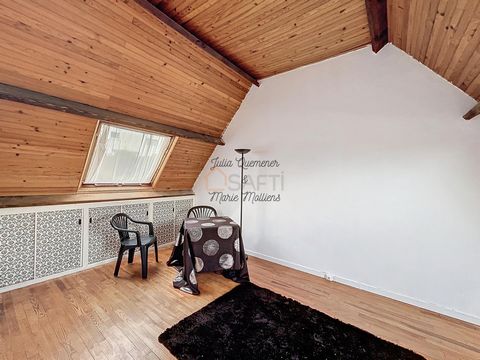 photo no. 10