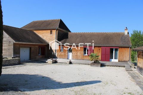 photo no. 7