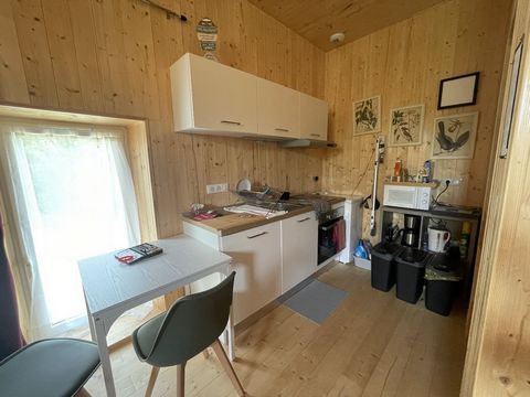 photo no. 11