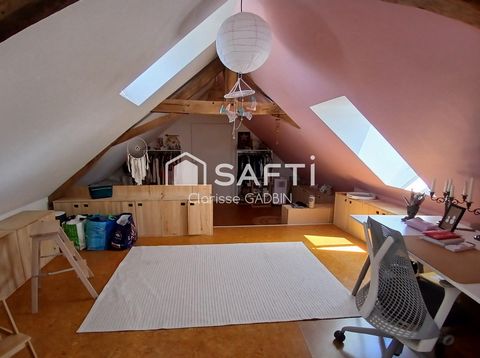 photo no. 7