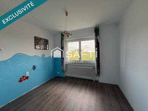 photo no. 11
