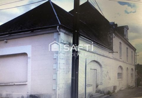 photo no. 12