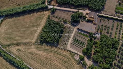 17e-eeuwse Catalaanse Masia met historische charme en uitzonderlijk potentieel in het hart van Baix Empordà Genesteld in een bevoorrechte natuurlijke omgeving tussen Calella, Ermedàs en het centrum van Palafrugell, biedt deze imposante 17e-eeuwse Cat...