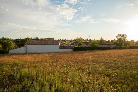 photo no. 5