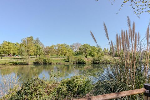 photo no. 15