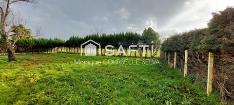 BATIMENT PLAIN-PIED (IDEAL INVESTISSEUR, PRIMO-ACCEDANT)