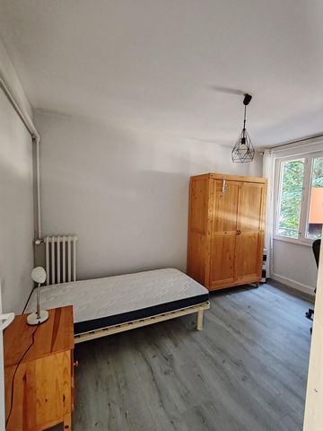 photo no. 4