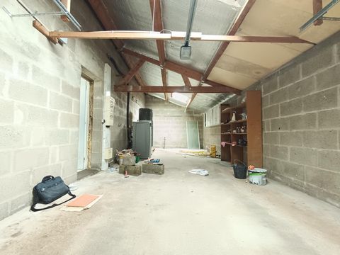 photo no. 12