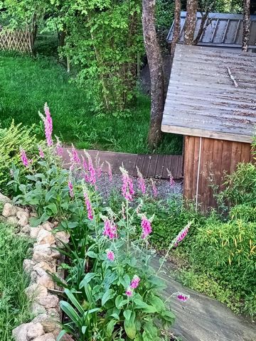 photo no. 12
