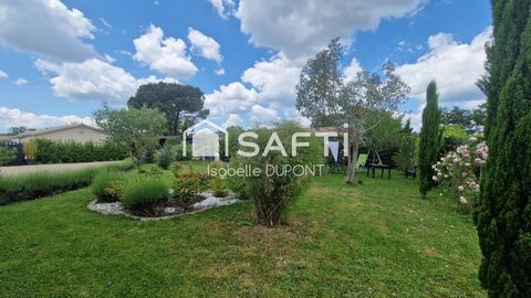 photo no. 14