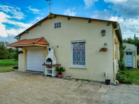photo no. 15