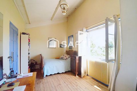 photo no. 6