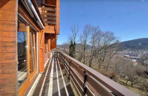photo no. 12