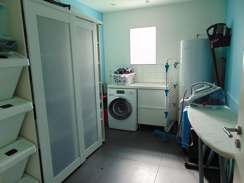 photo no. 9