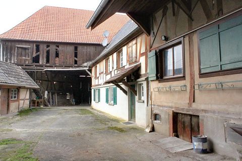 photo no. 1