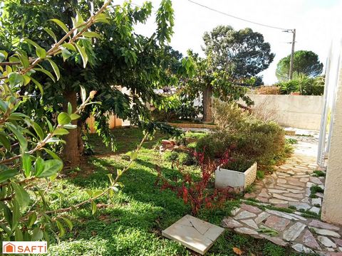 photo no. 14