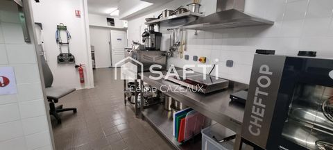 photo no. 15