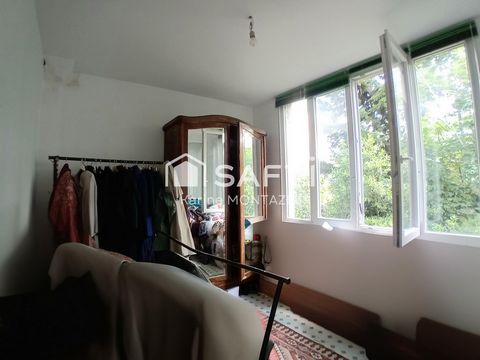 photo no. 11